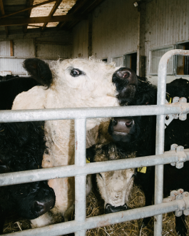  Moritz kind is a german photographer based in berlin and munich.